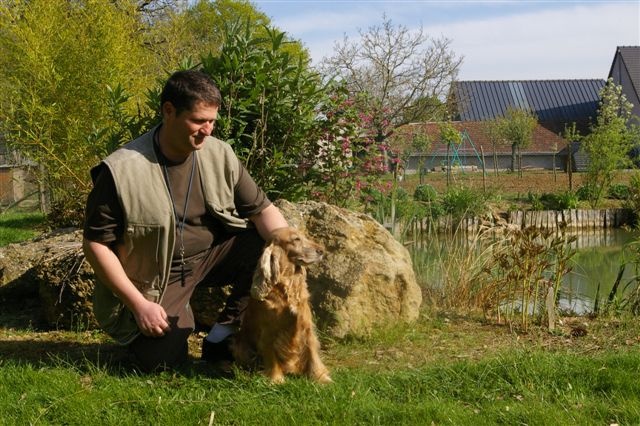Photos des chiens